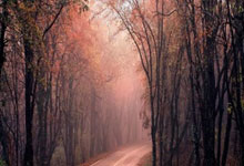 4分!一场4-4揪出巴萨最差之人:2次单刀不进,打替补的命.