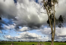 英超宣布曼聯與利物浦的雙紅會將在5月14日進行.