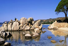 金年会jinnianhui下载:面對世俱杯賽程爭議,國際足聯力求通過對話化解.